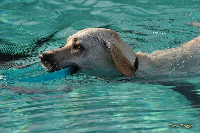 Freibad Lindhorst / Bild 21 von 31 / 18.09.2015 16:36 / DSC_2545.JPG