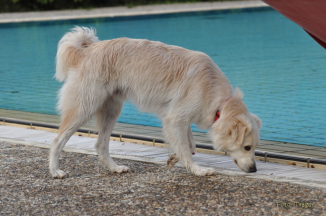 Freibad Lindhorst / Bild 22 von 31 / 18.09.2015 16:39 / DSC_2591.JPG