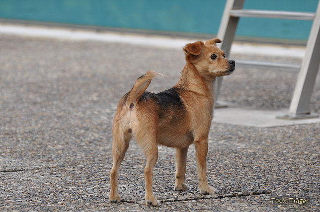 Freibad Lindhorst / Bild 25 von 31 / 18.09.2015 16:44 / DSC_2632.JPG