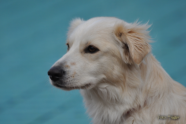 Freibad Lindhorst / Bild 26 von 31 / 18.09.2015 16:46 / DSC_2640.JPG