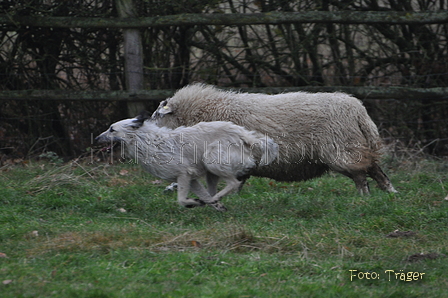 Bild 3 von 25