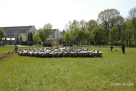 Bild 103/170