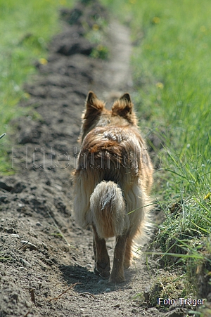 Bild 145/170