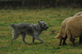 Hüte-Workshop / Bild 6 von 58 / 17.12.2016 10:54 / DSC_7253.JPG