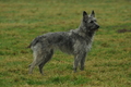 Hüte-Workshop / Bild 7 von 58 / 17.12.2016 10:56 / DSC_7306.JPG