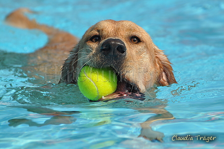 Hundeschwimmen / Bild 15 von 187 / 10.09.2016 11:38 / DSC_8554.JPG