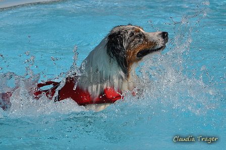 Hundeschwimmen / Bild 39 von 187 / 10.09.2016 11:53 / DSC_8876.JPG