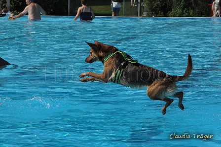 Hundeschwimmen / Bild 57 von 187 / 10.09.2016 12:14 / DSC_9121.JPG
