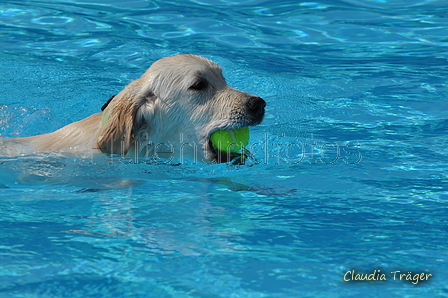 Hundeschwimmen / Bild 60 von 187 / 10.09.2016 12:16 / DSC_9137.JPG