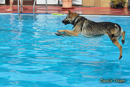 Hundeschwimmen / Bild 70 von 187 / 11.09.2016 12:06 / DSC_9255.JPG
