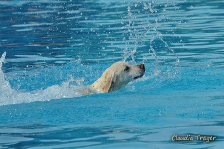 Hundeschwimmen / Bild 78 von 187 / 11.09.2016 12:10 / DSC_9306.JPG