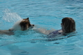 Hundeschwimmen / Bild 92 von 187 / 11.09.2016 12:22 / DSC_9479.JPG