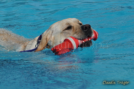 Hundeschwimmen / Bild 141 von 187 / 11.09.2016 12:46 / DSC_9855.JPG