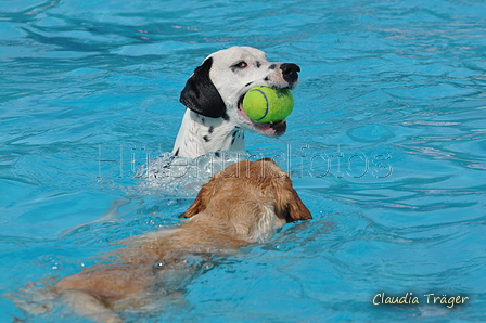 Hundeschwimmen / Bild 144 von 187 / 11.09.2016 12:47 / DSC_9873.JPG