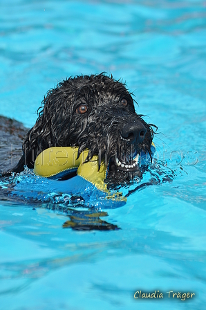 Hundeschwimmen / Bild 146 von 187 / 11.09.2016 12:48 / DSC_9891.JPG