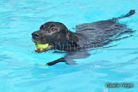 Hundeschwimmen / Bild 151 von 187 / 11.09.2016 12:50 / DSC_9921.JPG