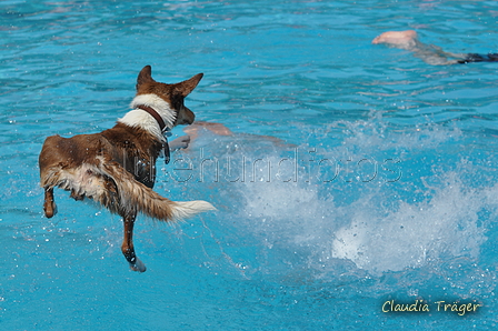 Hundeschwimmen / Bild 157 von 187 / 11.09.2016 12:55 / DSC_9986.JPG