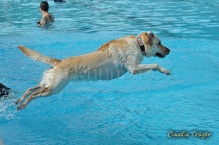 Hundeschwimmen / Bild 164 von 187 / 11.09.2016 13:03 / DSC_0040.JPG