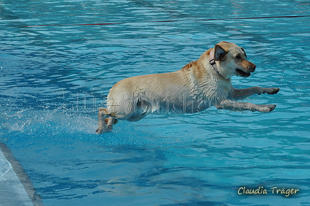 Hundeschwimmen / Bild 167 von 187 / 11.09.2016 13:04 / DSC_0054.JPG