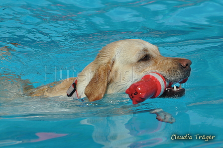 Hundeschwimmen / Bild 168 von 187 / 11.09.2016 13:05 / DSC_0056.JPG