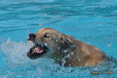 Hundeschwimmen / Bild 169 von 187 / 11.09.2016 13:06 / DSC_0066.JPG