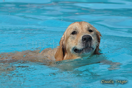 Hundeschwimmen / Bild 170 von 187 / 11.09.2016 13:06 / DSC_0080.JPG