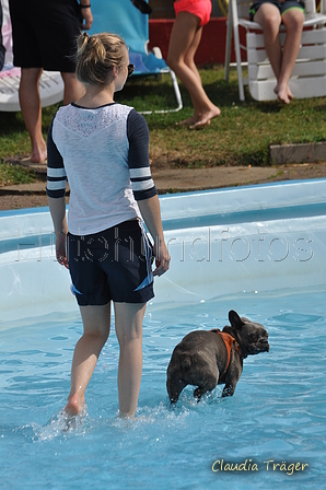 Hundeschwimmen / Bild 177 von 187 / 11.09.2016 13:15 / DSC_0189.JPG