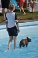 Hundeschwimmen / Bild 177 von 187 / 11.09.2016 13:15 / DSC_0189.JPG