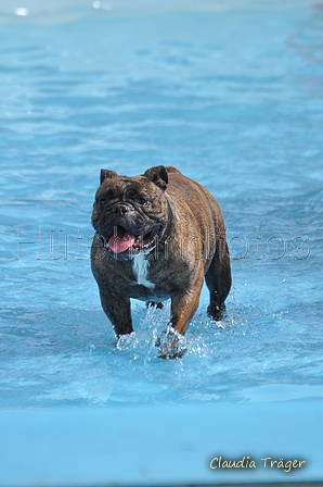 Hundeschwimmen / Bild 179 von 187 / 11.09.2016 13:16 / DSC_0207.JPG