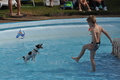 Hundeschwimmen / Bild 180 von 187 / 11.09.2016 13:16 / DSC_0219.JPG