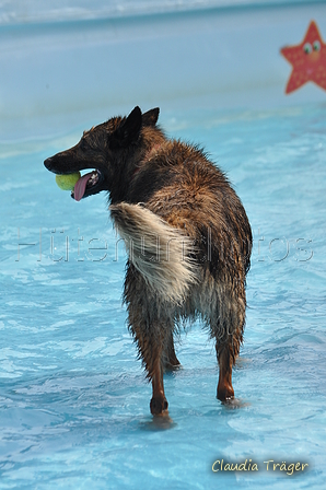 Hundeschwimmen / Bild 182 von 187 / 11.09.2016 13:17 / DSC_0249.JPG