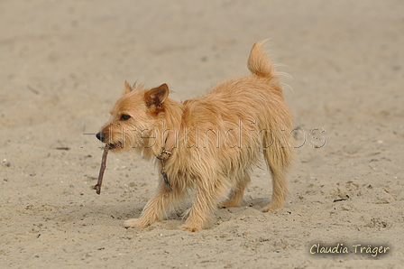 Hundestrand / Bild 1 von 376 / 19.09.2016 15:25 / DSC_7852.JPG