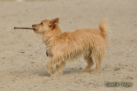 Hundestrand / Bild 2 von 376 / 19.09.2016 15:25 / DSC_7854.JPG