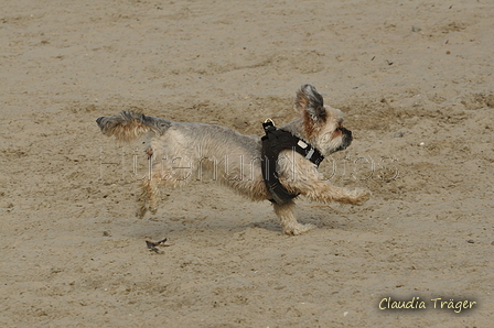 Hundestrand / Bild 3 von 376 / 19.09.2016 15:25 / DSC_7856.JPG