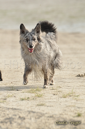 Hundestrand / Bild 4 von 376 / 19.09.2016 15:30 / DSC_7880.JPG