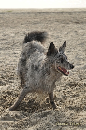 Hundestrand / Bild 5 von 376 / 19.09.2016 15:31 / DSC_7897.JPG