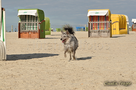 Hundestrand / Bild 7 von 376 / 19.09.2016 15:38 / DSC_7965.JPG