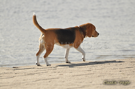 Hundestrand / Bild 8 von 376 / 19.09.2016 15:38 / DSC_7978.JPG