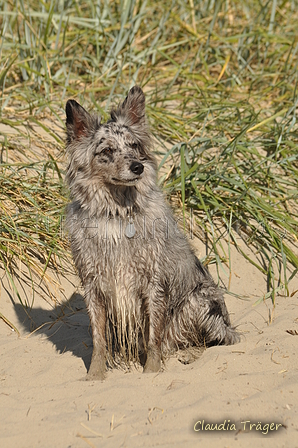 Hundestrand / Bild 9 von 376 / 19.09.2016 15:40 / DSC_7984.JPG