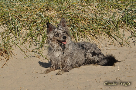 Hundestrand / Bild 11 von 376 / 19.09.2016 15:40 / DSC_8007.JPG