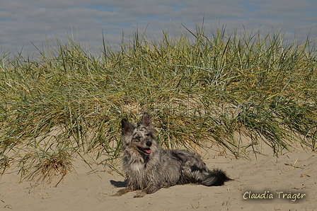 Hundestrand / Bild 12 von 376 / 19.09.2016 15:40 / DSC_8012.JPG