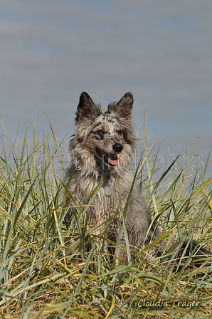 Hundestrand / Bild 13 von 376 / 19.09.2016 15:41 / DSC_8033.JPG