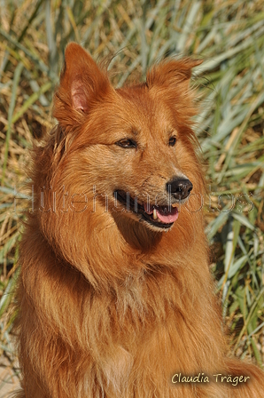 Hundestrand / Bild 16 von 376 / 19.09.2016 15:49 / DSC_8117.JPG