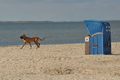 Hundestrand / Bild 18 von 376 / 19.09.2016 15:52 / DSC_8162.JPG