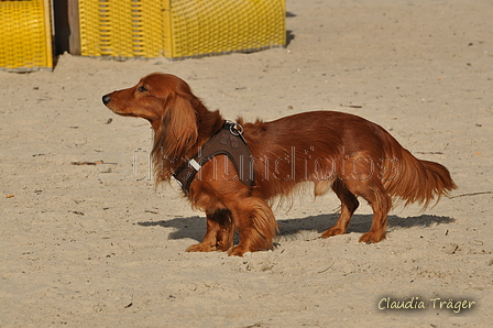 Hundestrand / Bild 19 von 376 / 19.09.2016 15:54 / DSC_8206.JPG