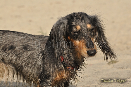 Hundestrand / Bild 20 von 376 / 19.09.2016 15:59 / DSC_8302.JPG