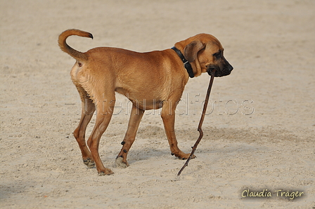 Hundestrand / Bild 25 von 376 / 19.09.2016 16:04 / DSC_8359.JPG