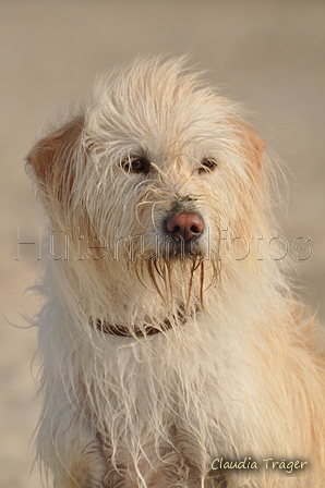 Hundestrand / Bild 30 von 376 / 19.09.2016 16:07 / DSC_8412.JPG