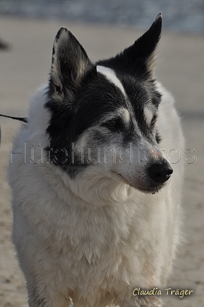 Hundestrand / Bild 31 von 376 / 19.09.2016 16:09 / DSC_8444.JPG