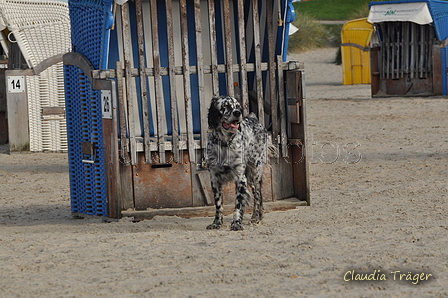 Hundestrand / Bild 32 von 376 / 19.09.2016 16:09 / DSC_8449.JPG